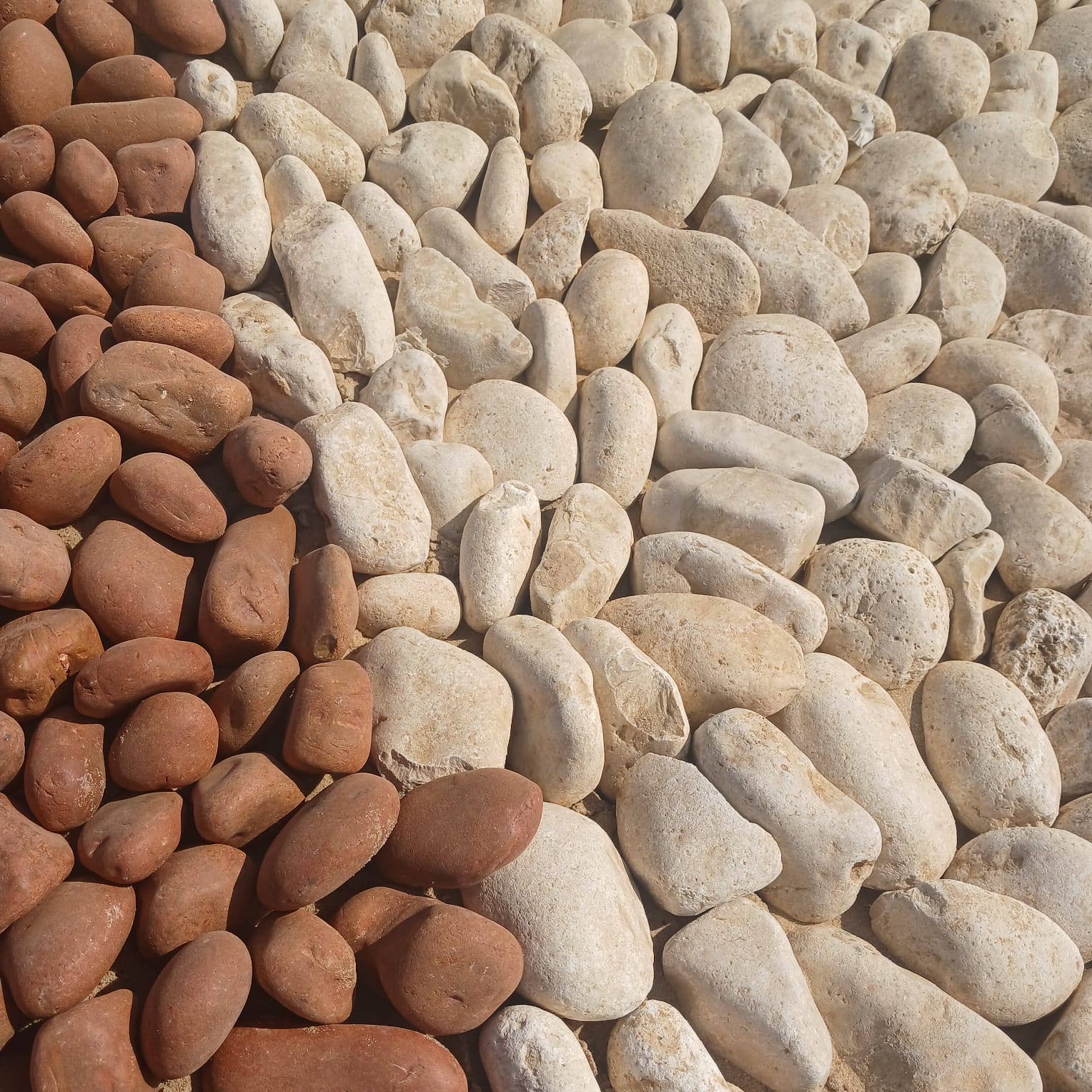 مطار بني سويف