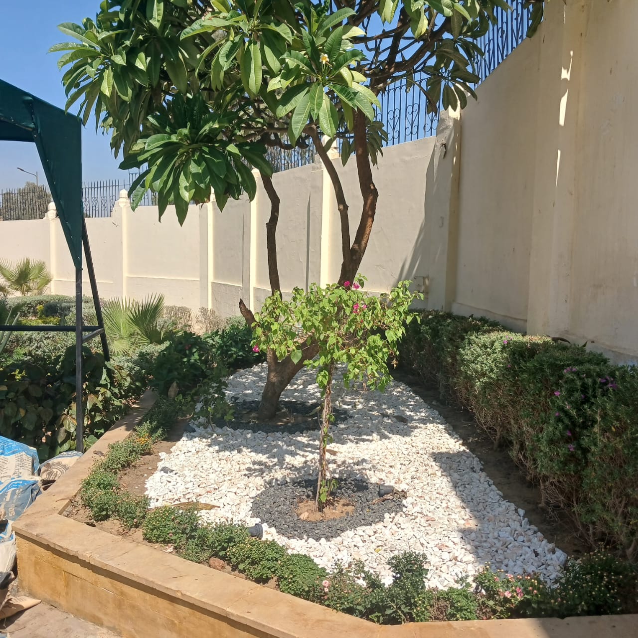  تطوير زراعة مقابر شهداء القوات الجوية