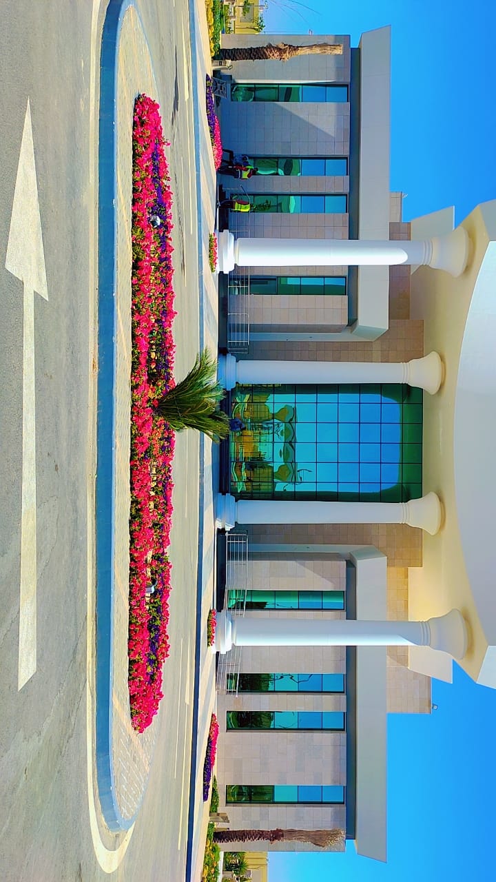 مطار سفنكس صالة الوصول والمغادرة