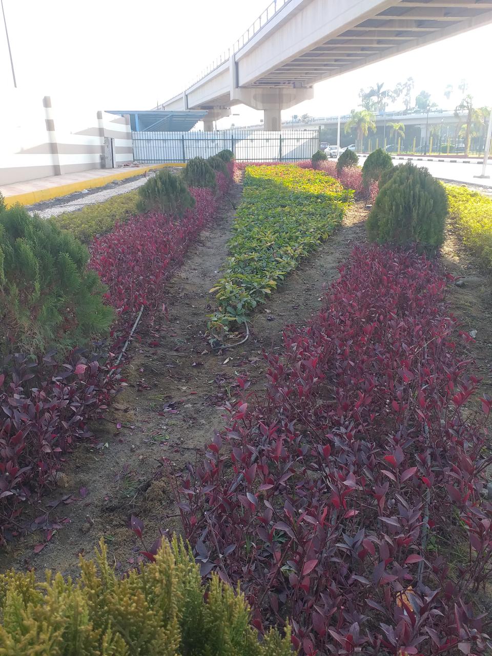 Cairo International Airport