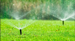 Landscape Construction and Irrigation